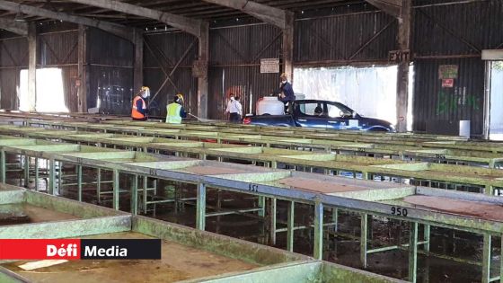 Metro Express : Rs 50 M pour délocaliser les maraîchers de Vacoas