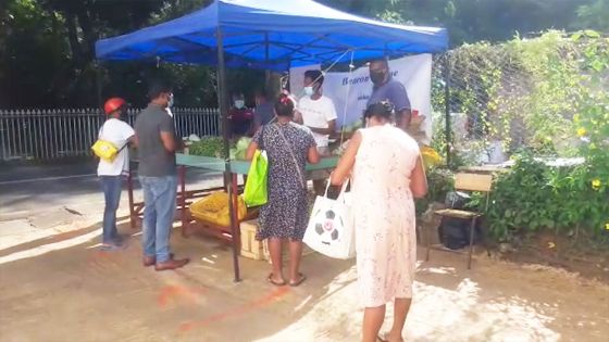 Pamplemousses : «Nous sommes obligés de limiter la quantité de légumes par personne», dit un marchand