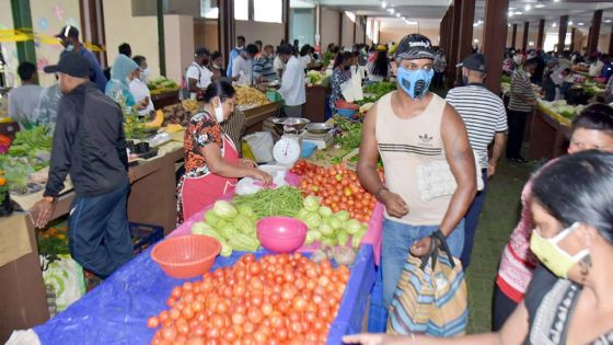 Conso - légumes : les prix continuent de baisser