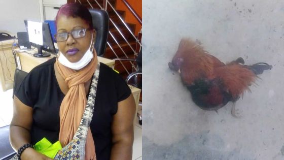 Affectée par le naufrage du Wakashio, Marie Arrianne lance un appel au secours