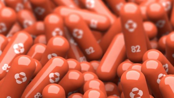Traitement contre la Covid-19 : 30 000 boîtes de molnupiravir attendues en décembre