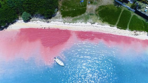 Blue-Bay : La mer rouge vue du ciel
