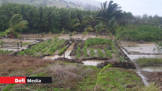 Tempête Calvinia : « 35 % à 40 % de la production de légumes affectés » ; un manque de légumes à partir du 10 janvier
