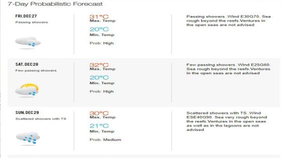  Météo : ce qui vous attend pour le réveillon et le Nouvel an 