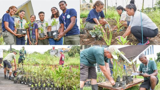 Élan écologique : création d’une mini-forêt à Piton
