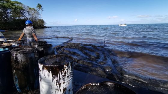 Naufrage du Wakashio : Rs 800 proposées aux pêcheurs pour le nettoyage du lagon