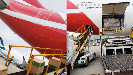 Covid-19 : Les kits de tests et autres équipements médicaux en provenance de Hong Kong arrivés