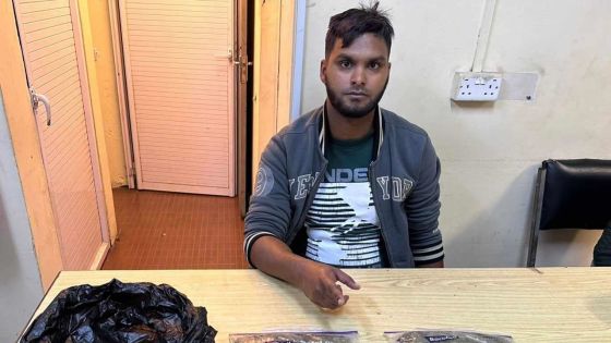 Trafic de cannabis : un General Worker du ministère de l’Environnement écroué