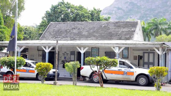 Moka/Saint-Pierre : douze présumés suspects arrêtés et des plants de gandia retrouvés 