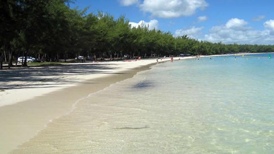 Lagon de Mont-Choisy : implantation de reef balls en cours