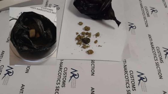 Drogue : un couple français arrêté à l’aéroport de Plaisance
