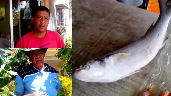 Intoxication alimentaire alléguée à Rodrigues : Une vingtaine de victimes affirment avoir consommé de la « vielle rouge » et du « mulet »