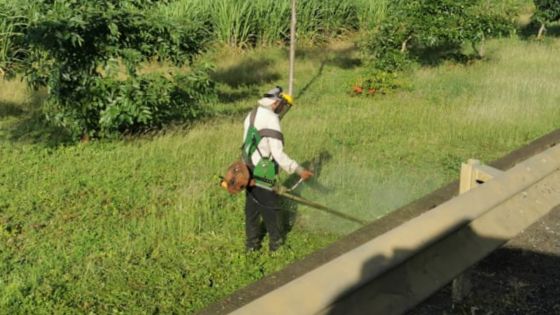 Flic-en-Flac : nettoyage des bordures de route