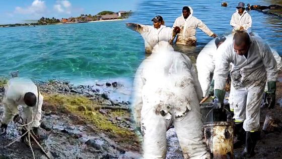 Wakashio : cinq mois plus tard, retour sur le littoral sud-est paré de son éclat 'carte postale'