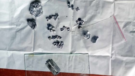 Trafic de drogue à Résidence Père-Laval : sept arrestations, deux suspects blessés