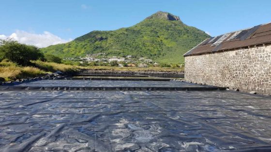 Les Salines de Yemen : les mystères du sel… à découvrir