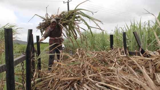Industrie cannière : le plan de sauvetage fin prêt