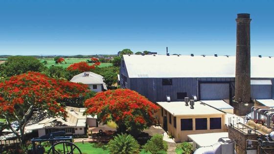 Développement au Nord : investissements de Rs 1,2 milliard de Terra dans des espaces commerciaux