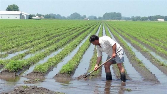 Intempéries : ces activités affectées par les fortes pluies
