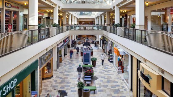 Portail électronique : plateforme d’e-Commerce Afrique/États-Unis via eBay