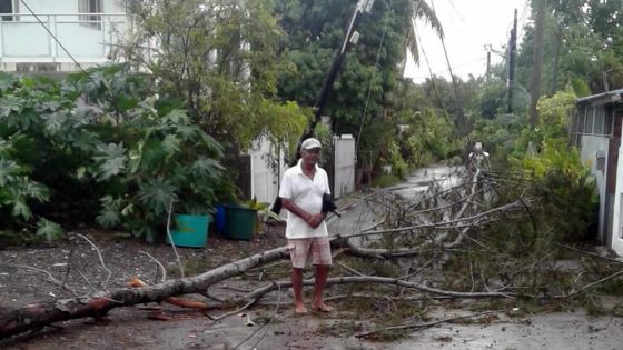 Intempéries : un arbre s'abat sur la route à Bain-Bœuf, des fils électriques par terre