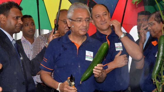 Culture protégée : des diplômés cultivent la terre