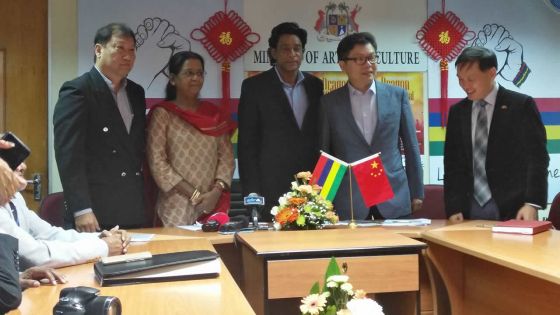 Le Dragon Boat Festival au Caudan Waterfront