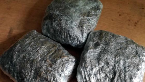 À Bagatelle : saisie de 1,5 kilo de cannabis estimé à Rs 9 M