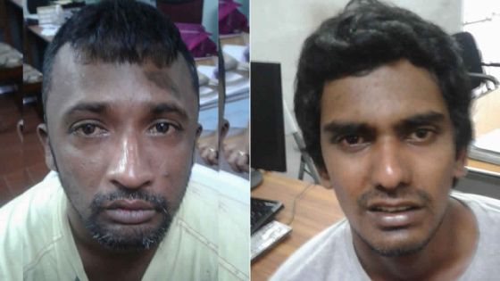 Vol avec violence : pris en chasse, ils heurtent un arbre 