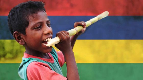 50 ans d'indépendance : entrée gratuite à l'Aventure du Sucre