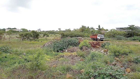 Marécages : peu de considération pour ces zones que nous connaissons à peine 
