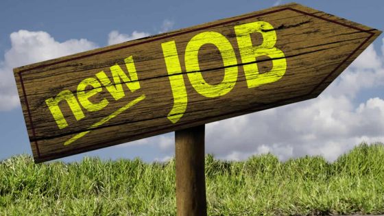 Marché du travail : Quel premier job obtenir avec un HSC en poche?