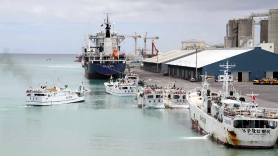 Port : le ciment et le bunkering dopent les activités 
