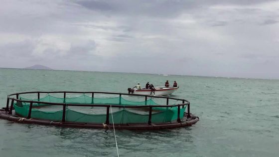 Projet aquacole : une lettre de dénonciation adressée au PM