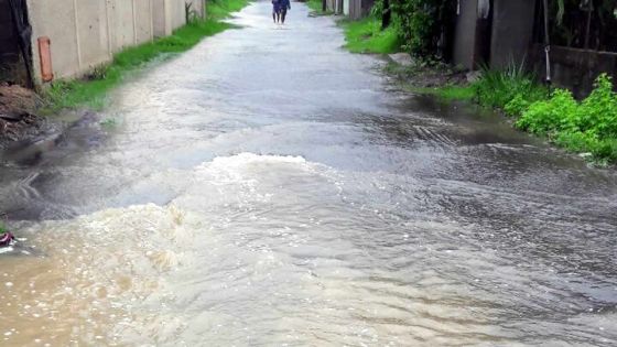 À Sainte-Croix : une ruelle non asphaltée pose problème 