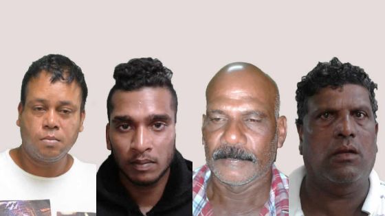 Démantèlement d’un réseau de faux permis de conduire : une cinquantaine de suspects dans le collimateur