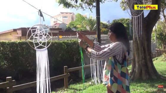 Vandermeersch : 270 arbres seront abattus sur le tracé du Metro Express