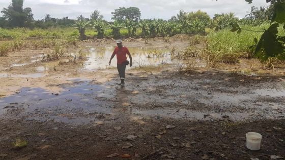 Intempéries : Riche-Mare tente de panser ses blessures