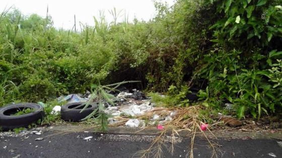 Incivisme : le terrain devenu dépotoir nuit à une famille portlouisienne 