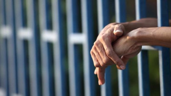 Statistiques à Maurice : un cas sur 20 a abouti à une peine de prison