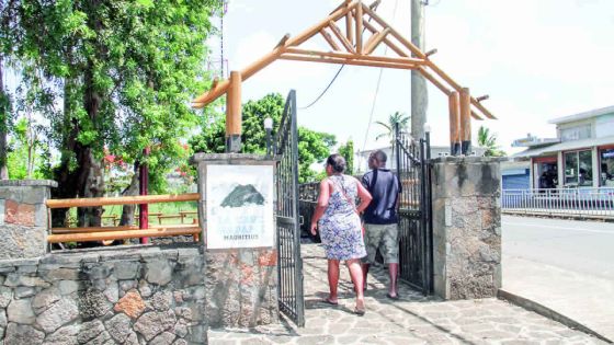 La Cave Madame à Roches-Noires