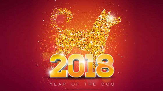 L'année du Chien de terre : quelle influence sur votre signe?