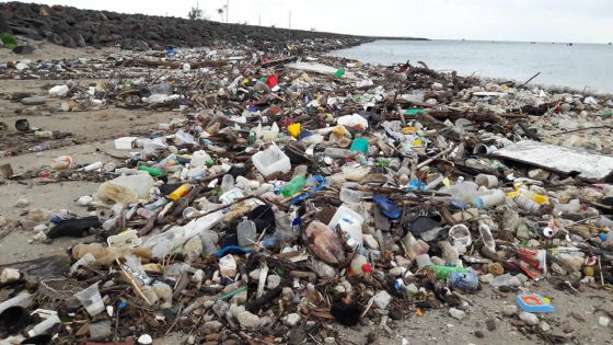 Post-Berguitta : 33 plages défigurées