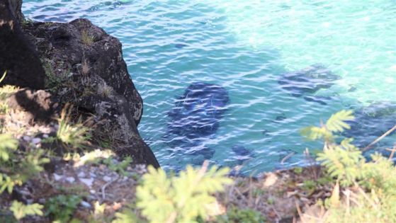 Macondé : une voiture finit dans le lagon