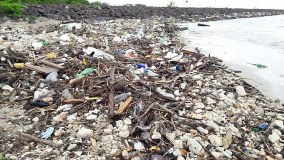Les Salines : des bouteilles plastiques envahissent la rade 