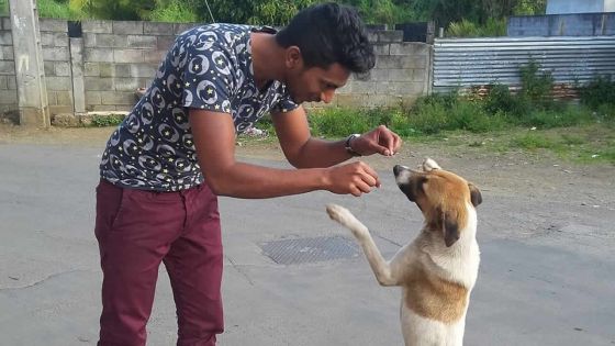 Porte-parole de La Meute de Zion : Abeenesh Mottay pour la cause des chiens