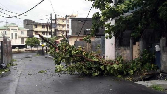 Tempête tropicale intense : quel impact et quel coût sur les secteurs affectés ?