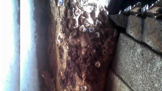 Dans le Sud : «Ma femme a été envoutée par son amant»