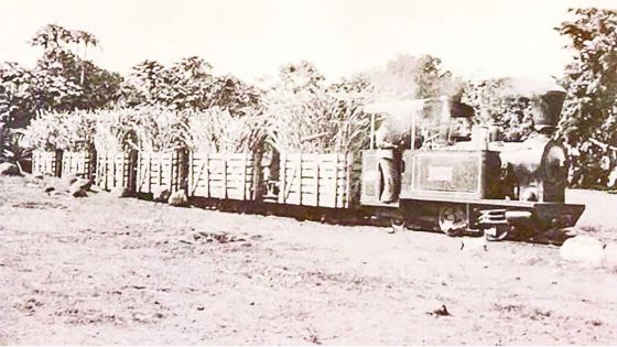 Le train à Maurice : la voie du développement