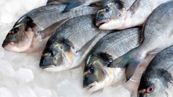 Quelques poissons prélevés dans le Sud-est avaient des traces d’hydrocarbures